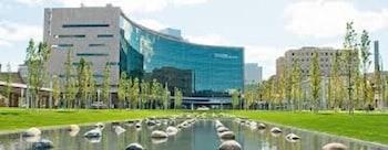 Hampton Inn&suites Cleveland-independence Hotel